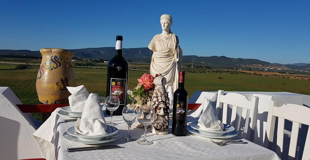 Visiter un domaine viticole et dégustez les vins tunisiens