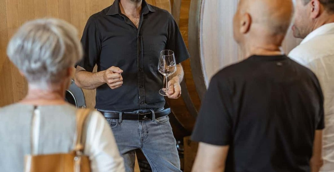 Visiter un domaine viticole et dégustez les vins tunisiens